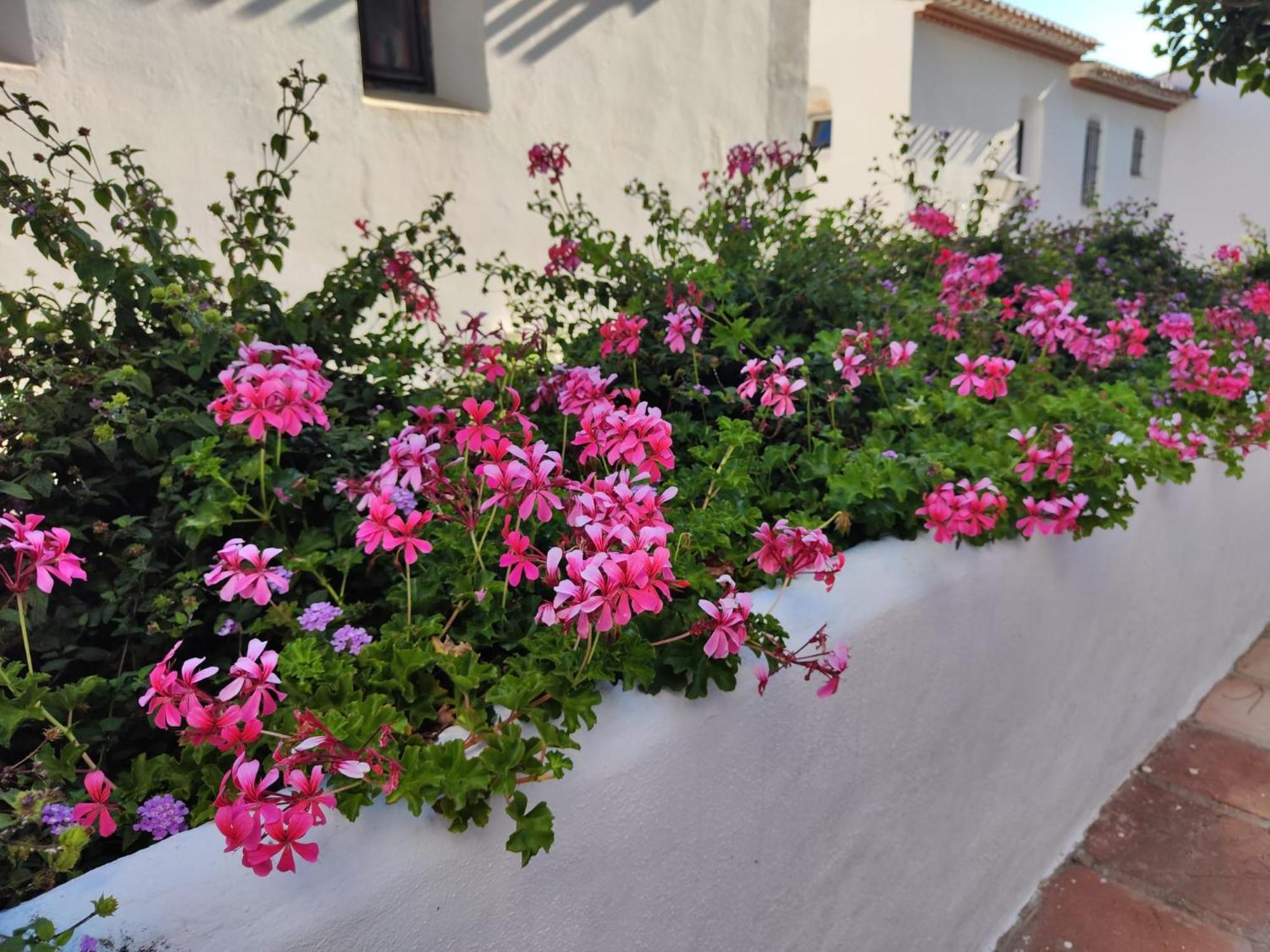 Dona Lola , Luminoso Apartamento Calahonda, Mijas Sitio de Calahonda ภายนอก รูปภาพ